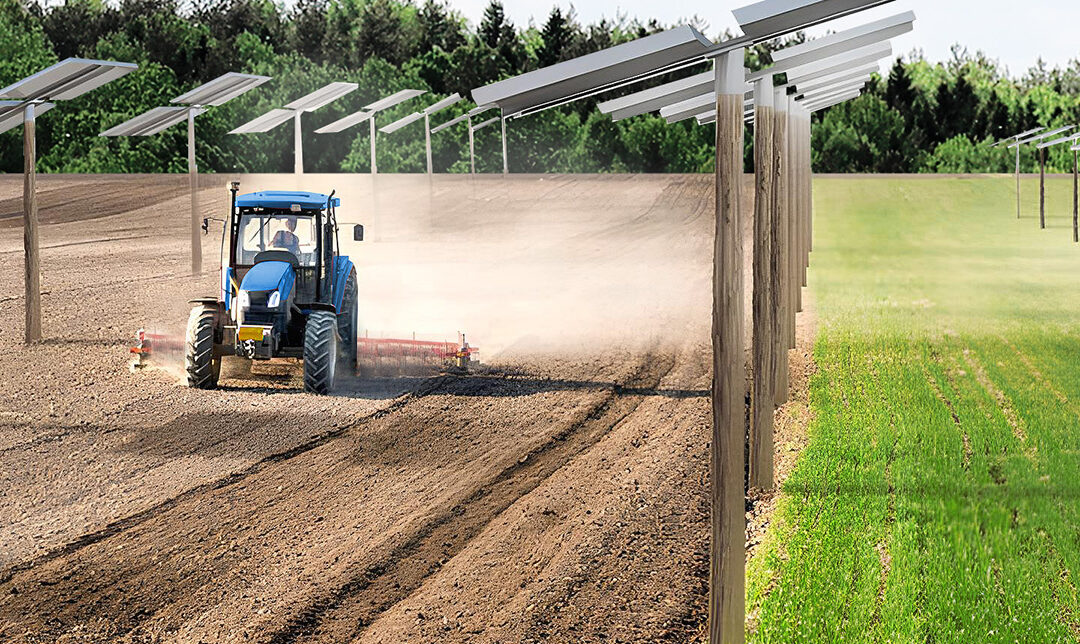 “COLTIVIAMO ENERGIA, PRODUCIAMO AGRICOLTURA”. NASCE SOLTERRE, L’IMPRESA DELL’AGROVOLTAICO