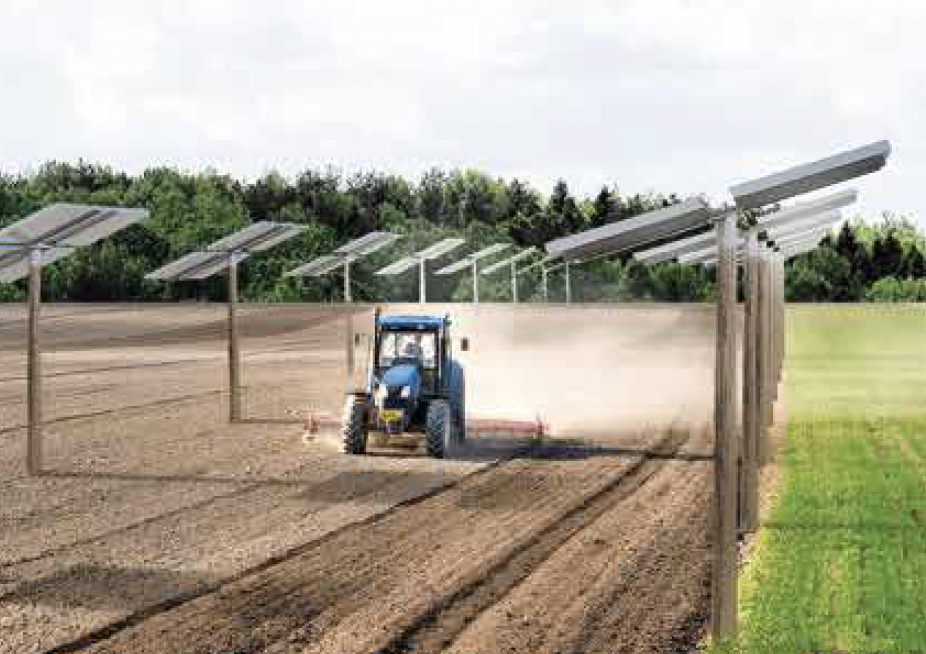 agrovoltaico_solterre