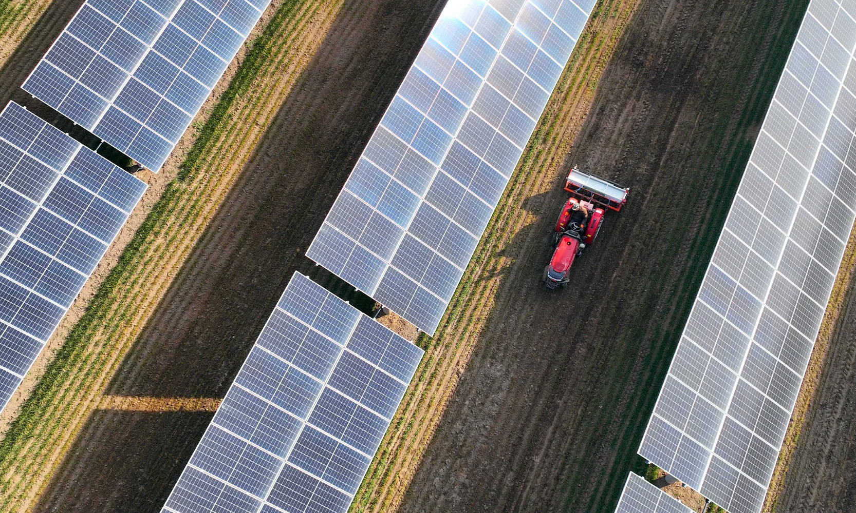 SOLTERRE_agrrivoltaico_servizi